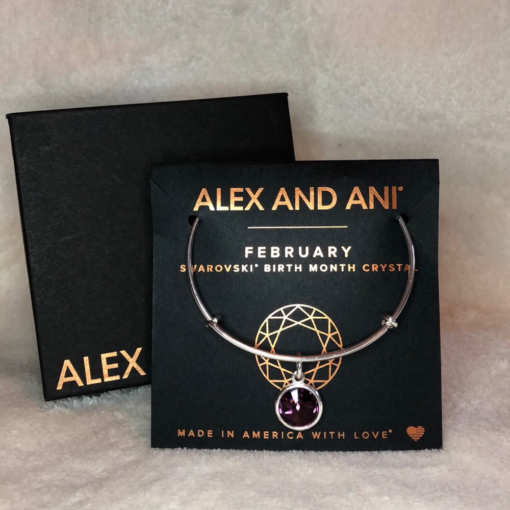 Alex and Ani February Birthstone Beacelet